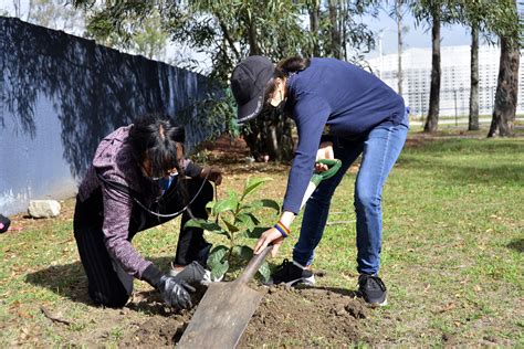 Atiende Buap El Buen Estado De Las áreas Verdes De Los Campus Universitarios Boletines Buap