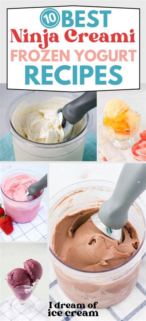 Top Best Ninja Creami Frozen Yogurt Recipes I Dream Of Ice Cream