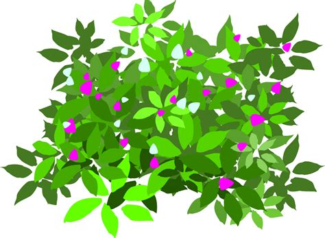 Transparent Bush Clipart Clip Art Library