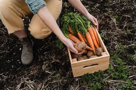 Premium Photo Wooden Box With Fresh Raw Potatoes And Carrots In