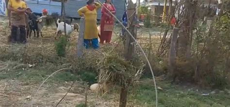 बिजुलीको तार चुँडिएर करेन्ट लाग्दा एकै घरका तीनको मृत्यु | Nagarik News
