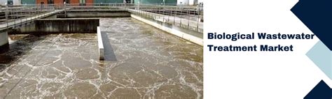 Breaking Barriers Advancements In Biological Wastewater Treatment