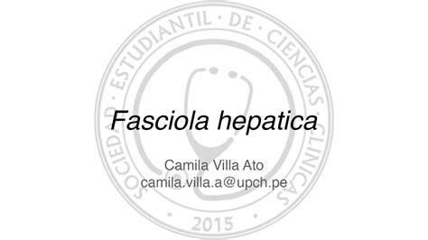 Fasciola Hepática Youtube