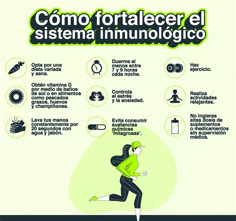 C Mo Fortalecer El Sistema Inmunol Gico Sistema Inmunologico Sistema