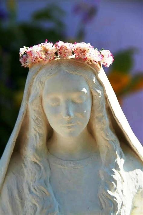 Crown Of Roses Crown Rose Mother Mary