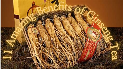 Ginseng Tea Benefit The Creator Road Healthy Amazing Health