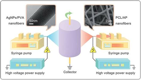 Schematic Illustration Of The Designed Setup Of The Two Spinneret