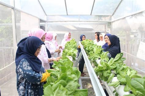 BRI Bantu Kampung Hijau Kemuning Sulap Lahan Sempit Jadi Kebun