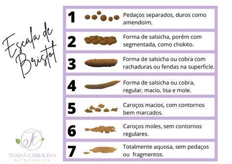 Escala De Bristol 1 Avaliação Nutricional I