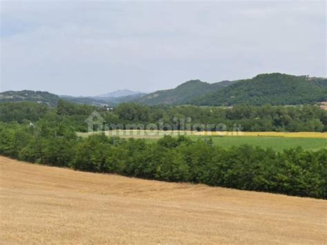 Terreno agricolo località Palazzo di Carlo snc Città di Castello rif