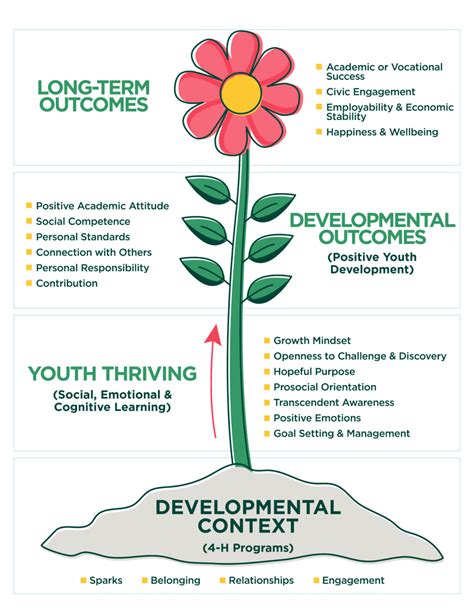 What Is Pyd National H Council