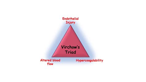 THROMBOSIS - Pathology Made Simple