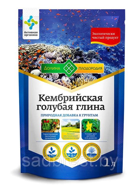 Глина кембрийская голубая 1 л: продажа, цена в Бресте. Субстраты ...