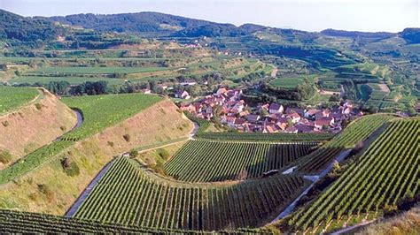 Baden - Germany Wine Region | Wine-Searcher