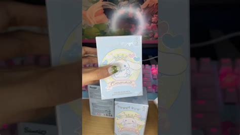 Cinnamoroll Mystery Boxes Unboxing Sanrio Party Blind Box Asmr Toy