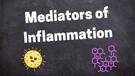 Chemical Mediators Of Inflammation Youtube