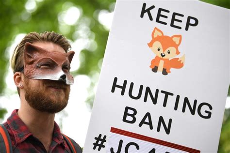 Fox Hunting Ban Jeremy Hunt Pushes For Vote To Overturn Law Against Uk