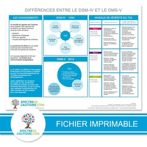 Affiche Sur Les Diff Rences Entre Le Dsm Et Le Dsm Etsy Canada