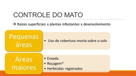 TRATOS CULTURAIS CONTROLE DO MATO Raízes superficiais x plantas