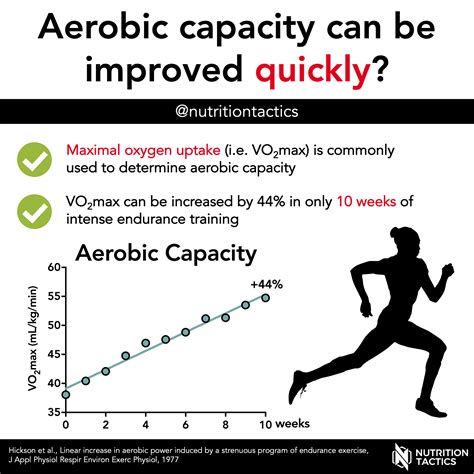 Understanding Vo2 Max And Improving Aerobic Capacity