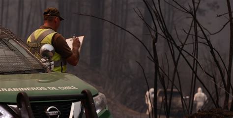 Balance De Carabineros Por Incendios Forestales Se Registran 40