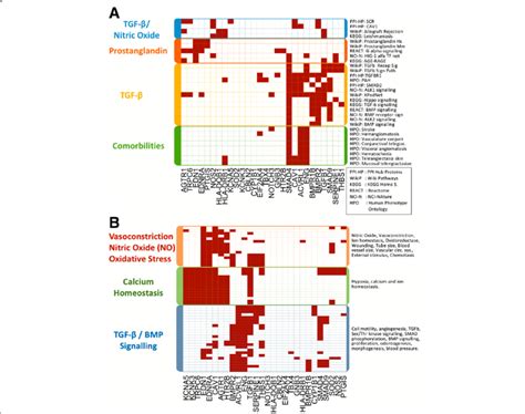 Functional Analysis Of The Genes Found Genetically Altered In Pah A Download Scientific