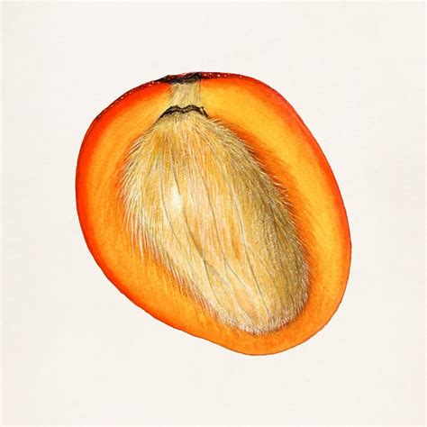 African Mangoes