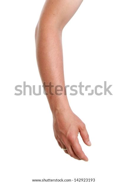 Hand Palm Isolated On White Background Stock Photo 142923193 Shutterstock