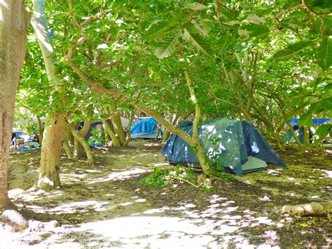 North West Island Capricornia Cays National Park Parks And Forests