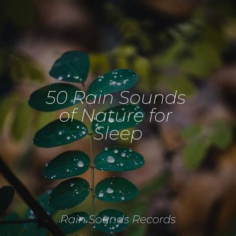 50 Rain Sounds Of Nature For Sleep Calming Waves Qobuz