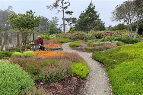 Mendocino Coast Botanical Garden - It's about flowers