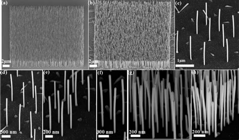 SEM Images Of A GaAsSb Axial And B GaAs GaAsSb Coreshell NW Arrays