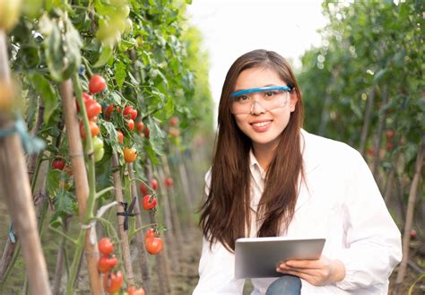 Agricultural Engineering Degree Online Infolearners