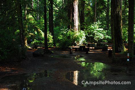 Jedediah Smith Redwoods State Park - Campsite Photos & Availability Alerts