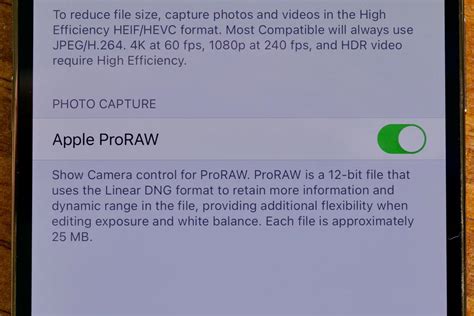 Apple Proraw Explained How To Take Proraw Photos On Iphone • Techbriefly