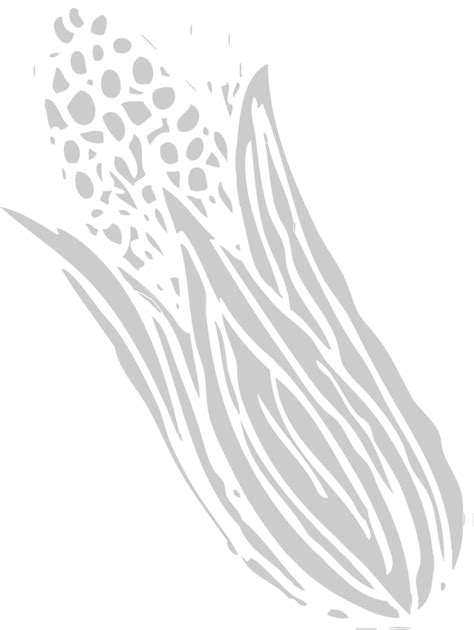 Corn Farm 36665138 Vector Art At Vecteezy