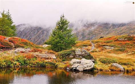 Fog Water Trees Viewes Mountains For Desktop Wallpapers 1920x1200