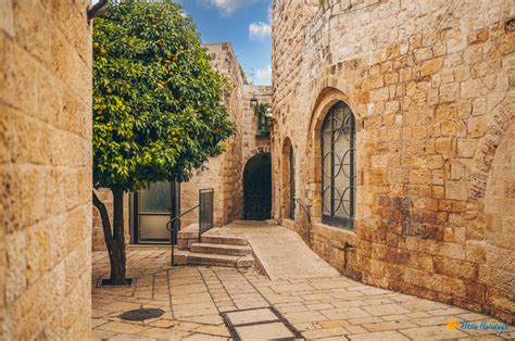 Pelerinaj In Israel Tara Sfanta 6 Zile Avion 2025
