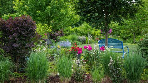 The Best Types Of Prairie Grasses To Grow To Add Privacy To Your Yard