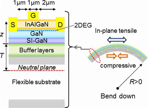 Schematic Cross Section Of A Flexible High Electron Mobility Transistor