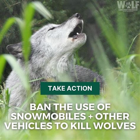 Take Action Use Your Voice And Call On Governormarkgordon To Ban The