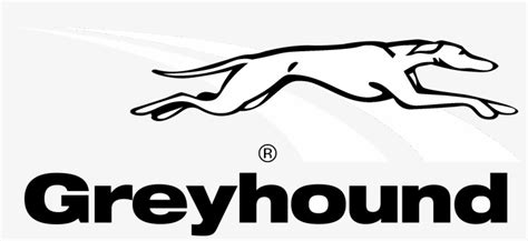 Greyhound Logo Black And White Greyhound Canada Png Image