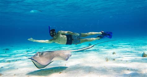 Akumal Bay Snorkeling Tour Getyourguide