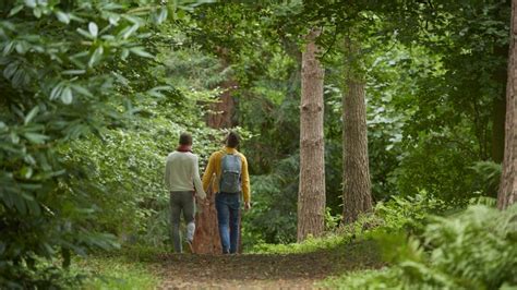 Chirk Castle Woodland Walk Wales National Trust