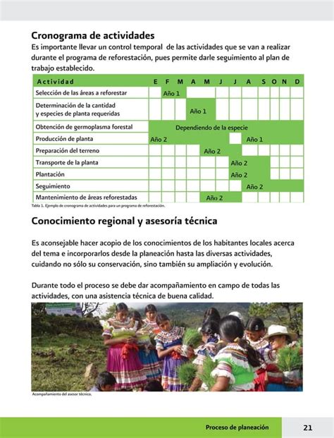 Manual Practicas De Reforestacion Pdf