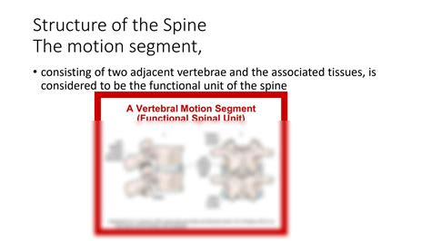 Solution Biomechanics Of Spine Studypool