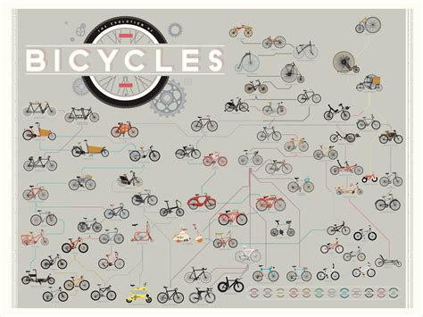 Different Types Of Bicycles Chart X Cm Cm Poster