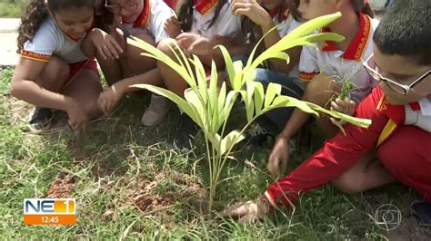 Vídeo Moradores e estudantes de Paulista transformam margens de canal