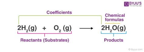 Chemical Equation Questions Practice Questions Of Chemical Equation With Answer And Explanations