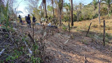 Grupo Preso Por Invadir Fazenda Sob Promessa De Lote Gazeta Digital